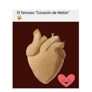 Meet your Posher, Karoline